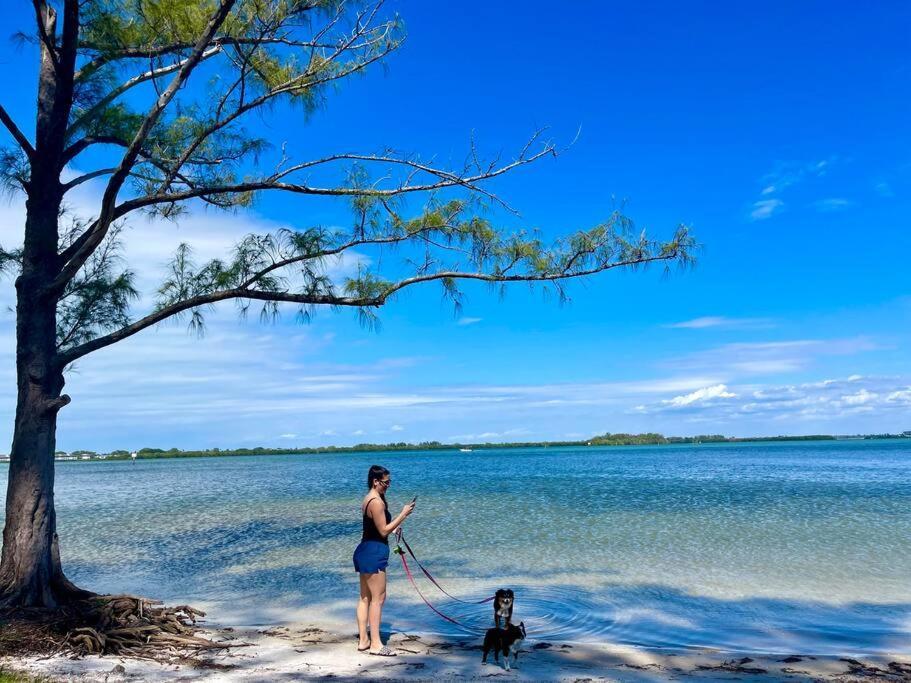 New Dog Paradise - Near The Beach Img & Downtown Брадентън Екстериор снимка